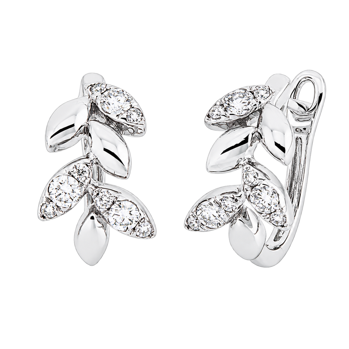 Creolen LAURIER in Weißgold – Produktansicht | NÓIR Diamonds