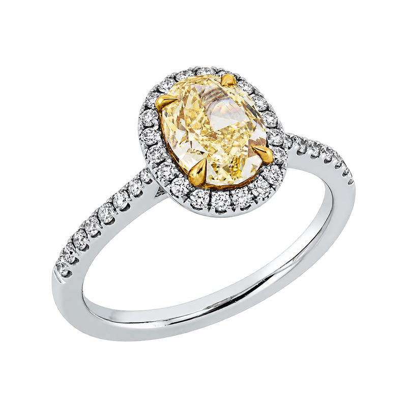 Fancy Ring AURÉOLE Jaune, Weiß-/Gelbgold – Produktansicht | NÓIR Diamonds